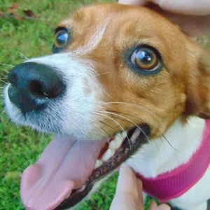 Meet your Posher, Lusie